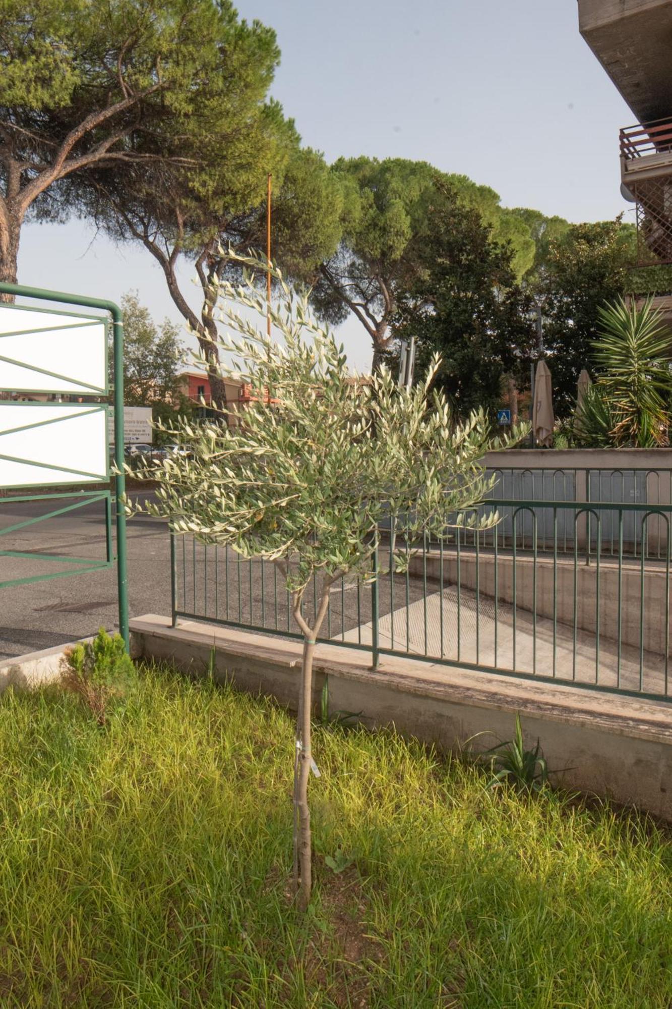 Appartamento Fele'S House Guidonia Esterno foto