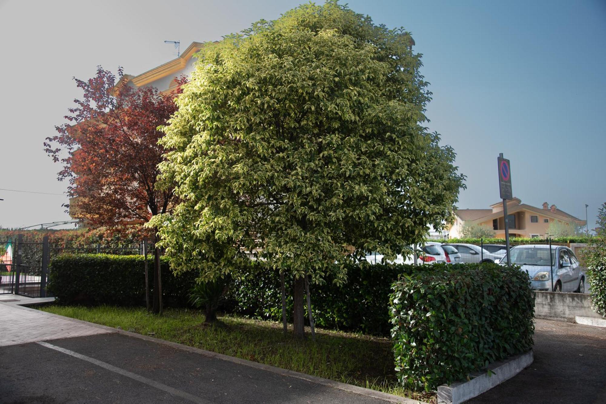 Appartamento Fele'S House Guidonia Esterno foto